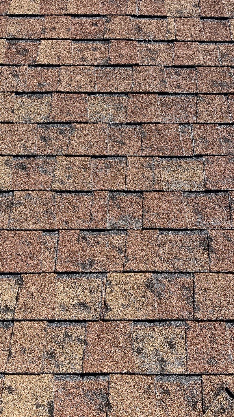 Close-up of hail-damaged roof shingles showing granule loss and impact marks in Texas
